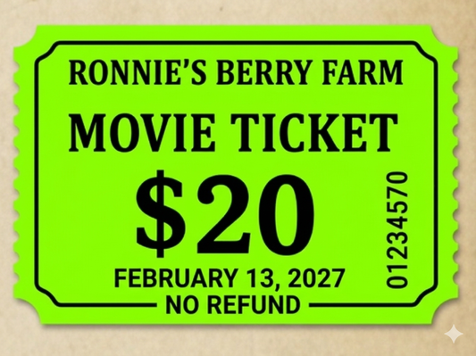 Drive-In Movie: Mario Galaxy — February 13, 2027
